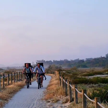 Casa de Férias Casa Dos Pinheiros