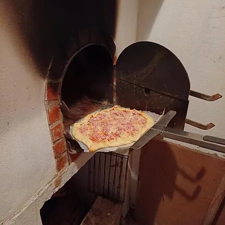 Casa Dos Pinheiros Casa de Férias Casal do Narcizo