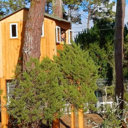 Casa Dos Pinheiros Casa de Férias *