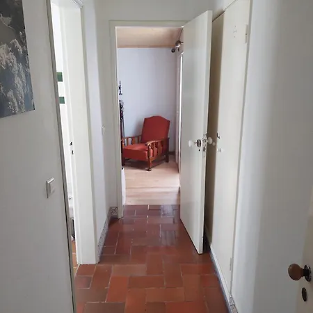 Casa Dos Pinheiros *