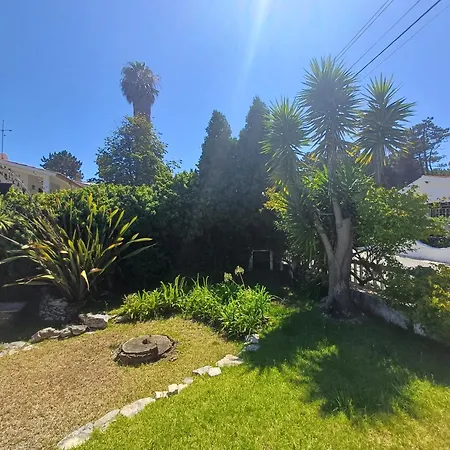 Casa Dos Pinheiros Casa de Férias