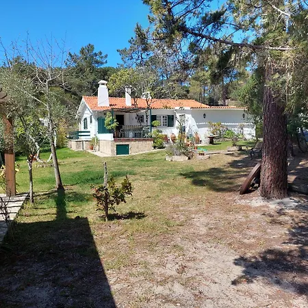 Casa de Férias Casa Dos Pinheiros