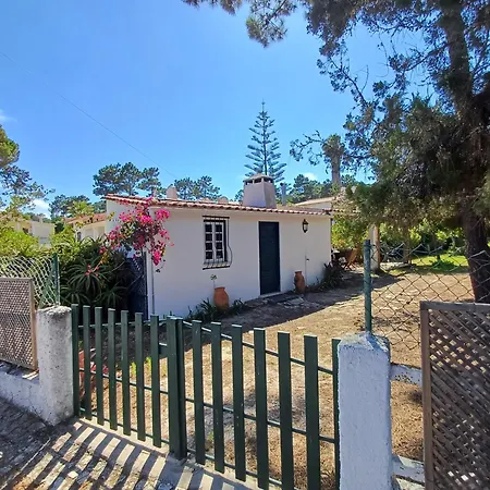 Casa de Férias Casa Dos Pinheiros *