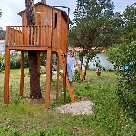 Casa Dos Pinheiros * Casal do Narcizo